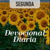 Dom gratuito