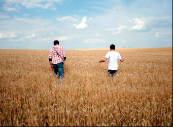 http://www.sxc.hu/photo/822950