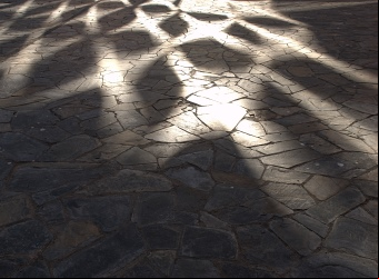 http://www.freeimages.com/photo/1219325