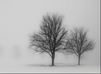 freeimages.com/photo/1437803
