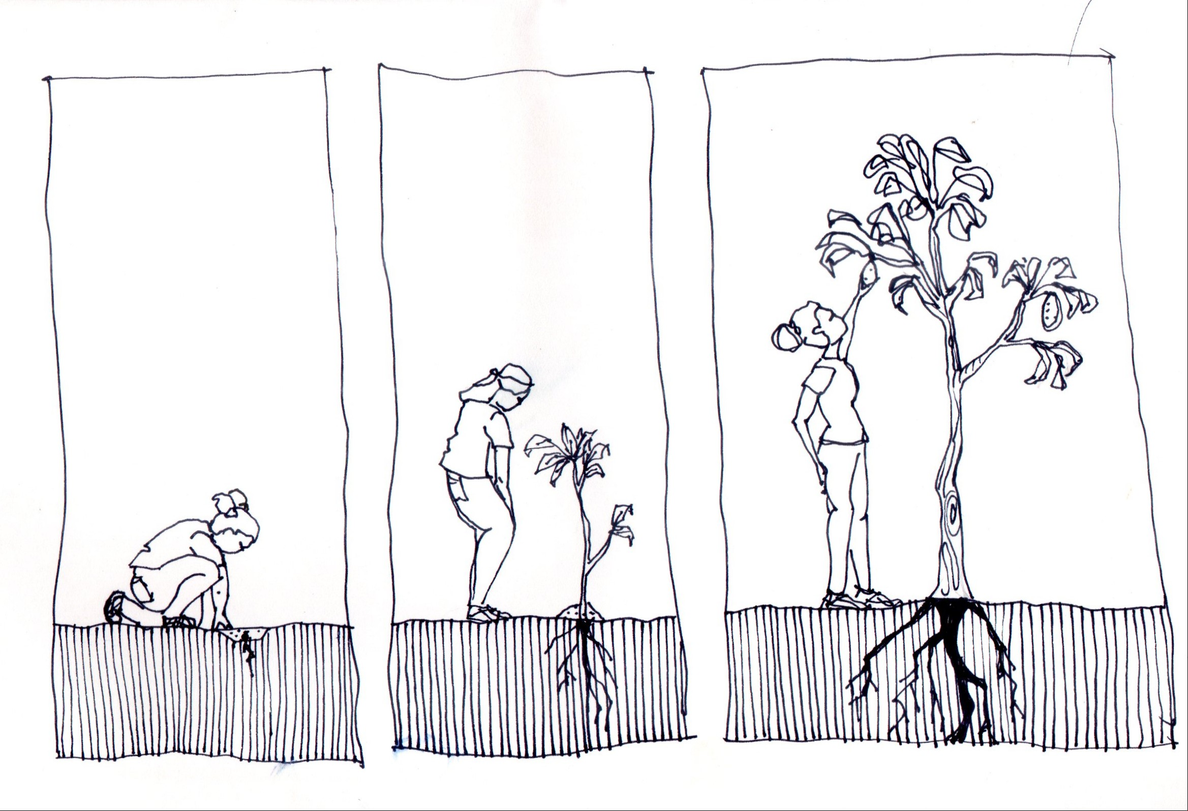 Desenho: Liz Valente